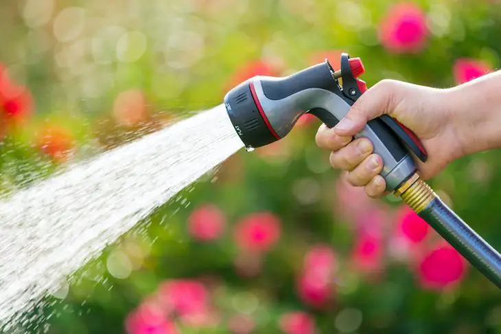 How to Increase Water Pressure in Garden Hoses: Useful Tips - Home and ...