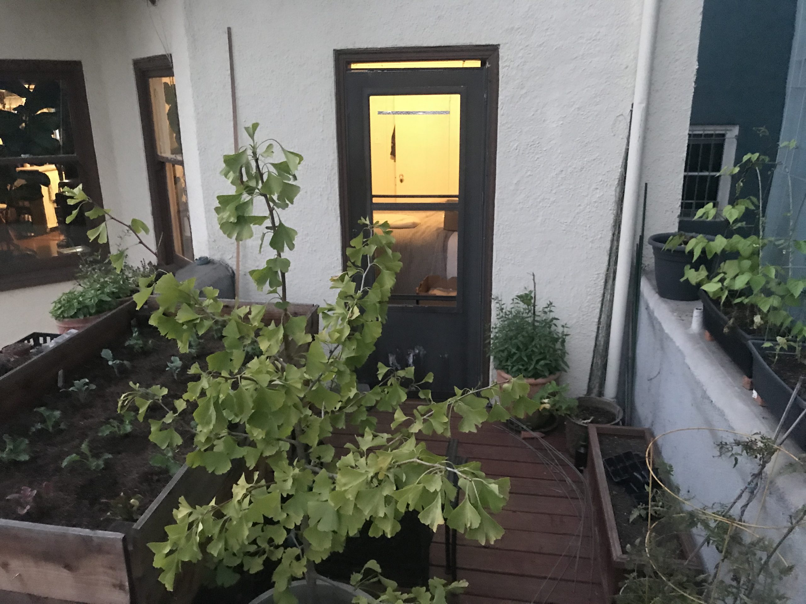 How to Build an Apartment Patio Garden