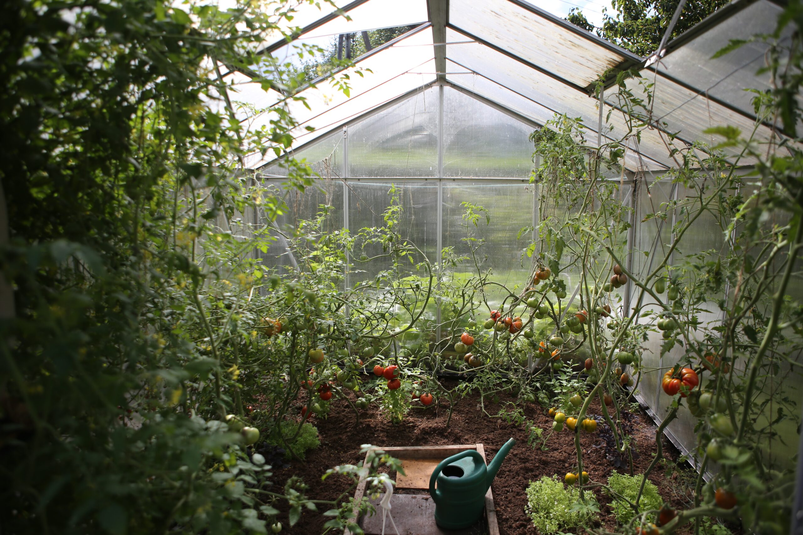 Safe Ways to Heat a Greenhouse