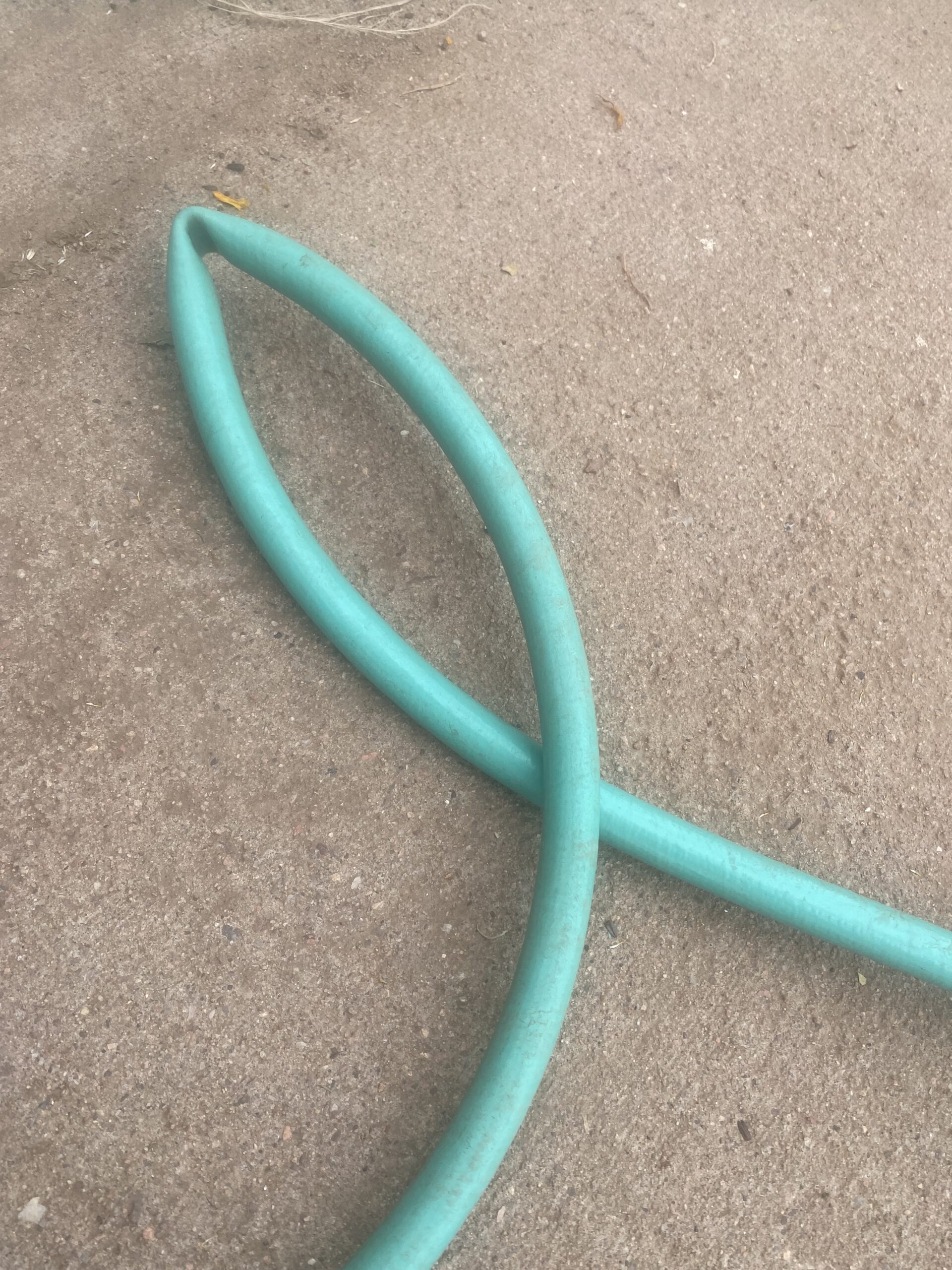 How Long Does a Garden Hose Last? Home and Garden Talk