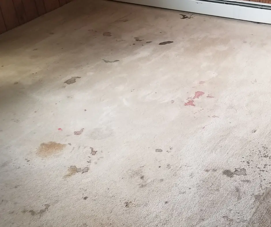 Can you pressure wash a wool rug?