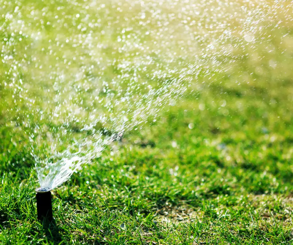 Garden hose sprinkler head watering a lawn