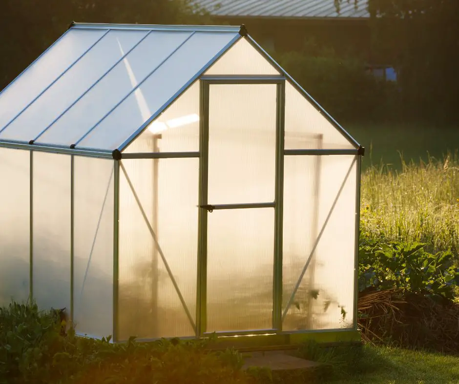 family backyard greenhouse